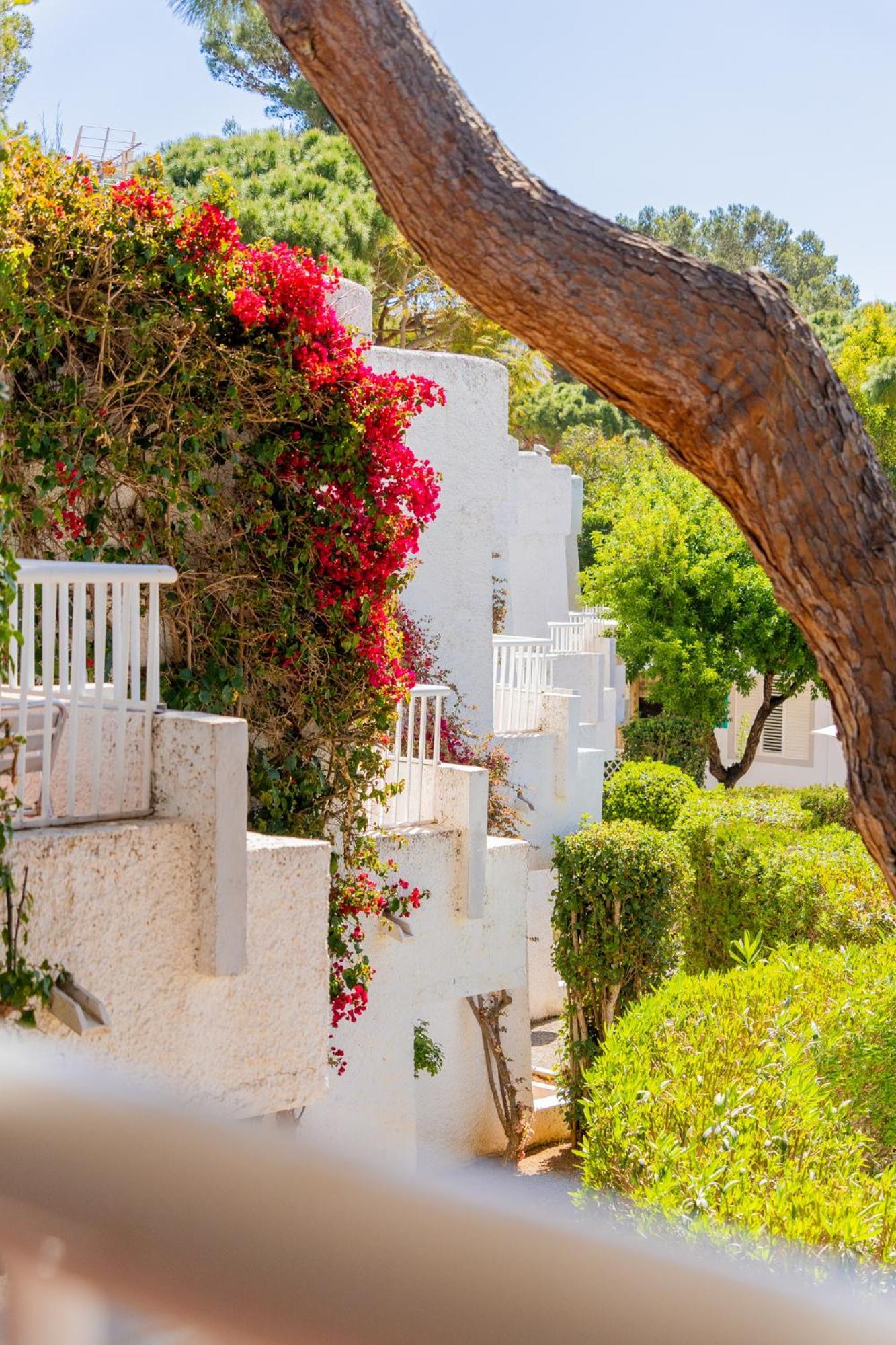 Atlas Apartments Ibiza Santa Eulária des Riu Exterior foto